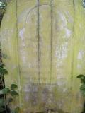 image of grave number 173136
